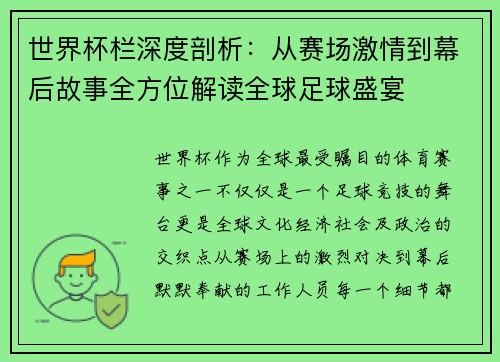 世界杯栏深度剖析：从赛场激情到幕后故事全方位解读全球足球盛宴